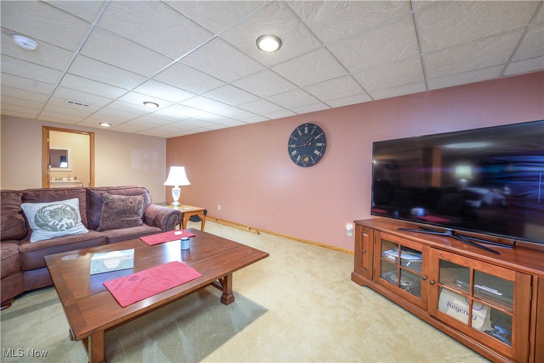 536 Silver Creek Drive, Doylestown, Ohio image 30