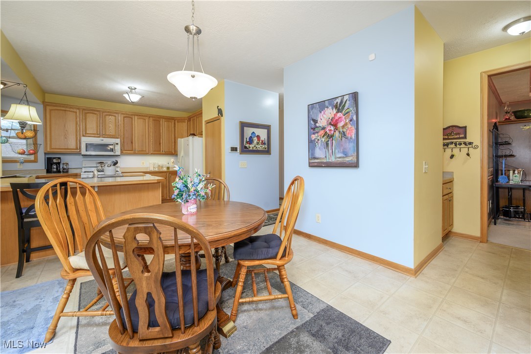 536 Silver Creek Drive, Doylestown, Ohio image 10