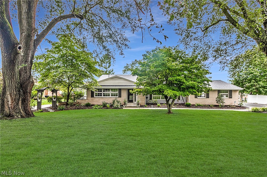 Springdale - Residential