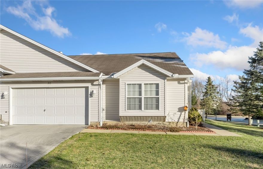 Enjoy maintenance free living in this 2 bed, 2 bath, ranch-style home in the desirable Lake at Brittany Pointe neighborhood. Upon entrance, you step directly into the carpeted living room with bright walls and a gas fireplace. The living room opens up to the dining room and kitchen area perfect for seamless entertainment. The kitchen features sleek black appliances and a double-bowl stainless steel sink. The 2 bedrooms are both spacious in size and have large closets that offer ample amounts of storage space. There are also 2 full baths in this home that have shower/tub combos and single-sink vanities. Don't miss out on this