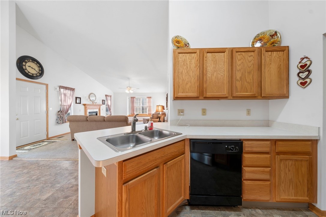 Lake At Brittany Pointe - Residential