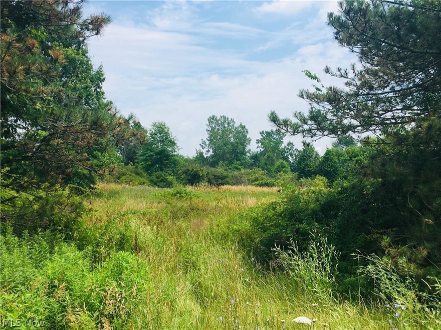 Close to West Branch State Park. Beautiful 1.66 acre of land!    This property is next to 4794 State Route 14, in Edinburg Township.  Perk approved in 2003 per owner. Storage Shed  on property stays, 12x 18. Ready to build? Call today.  DIV NW LOT 9