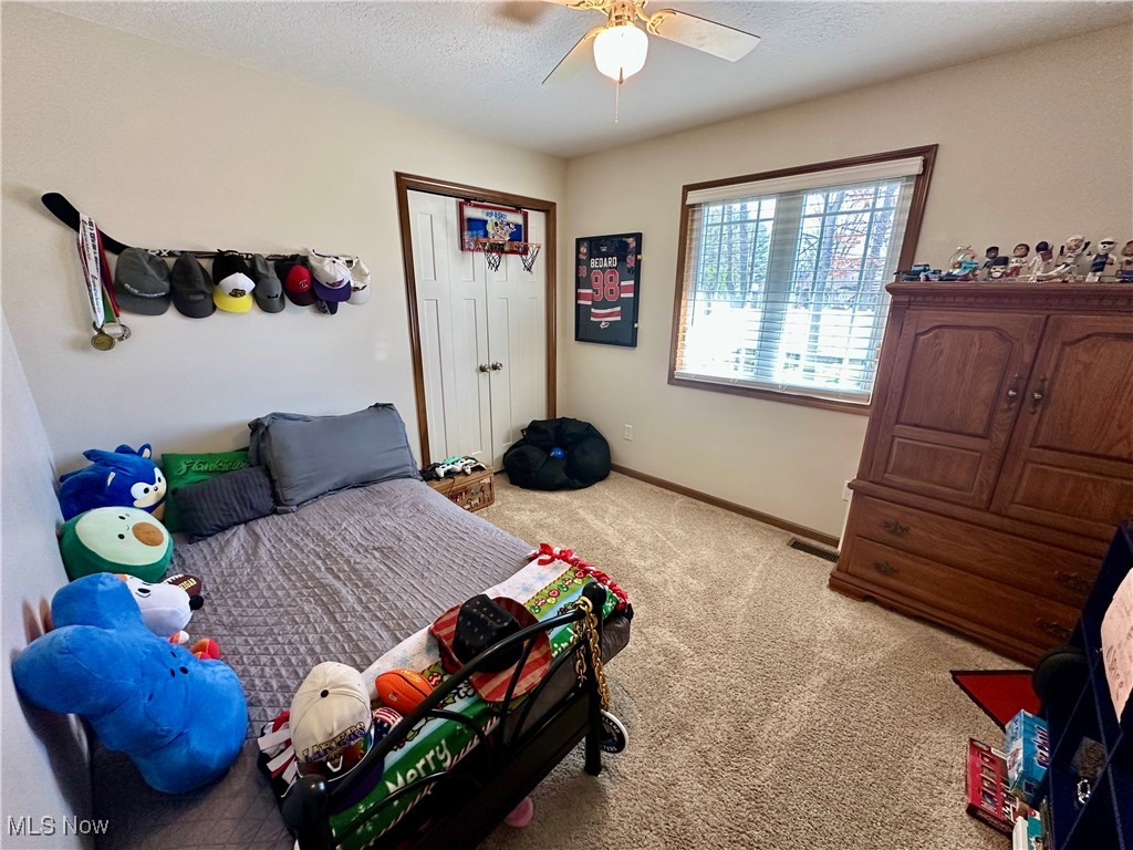 1039 Susan Road, Ravenna, Ohio image 12