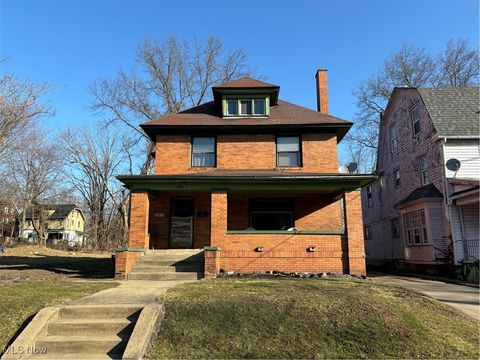 Multifamily For Sale - 238 Lora Avenue<br/> Mahoning County, Youngstown, OH 44504