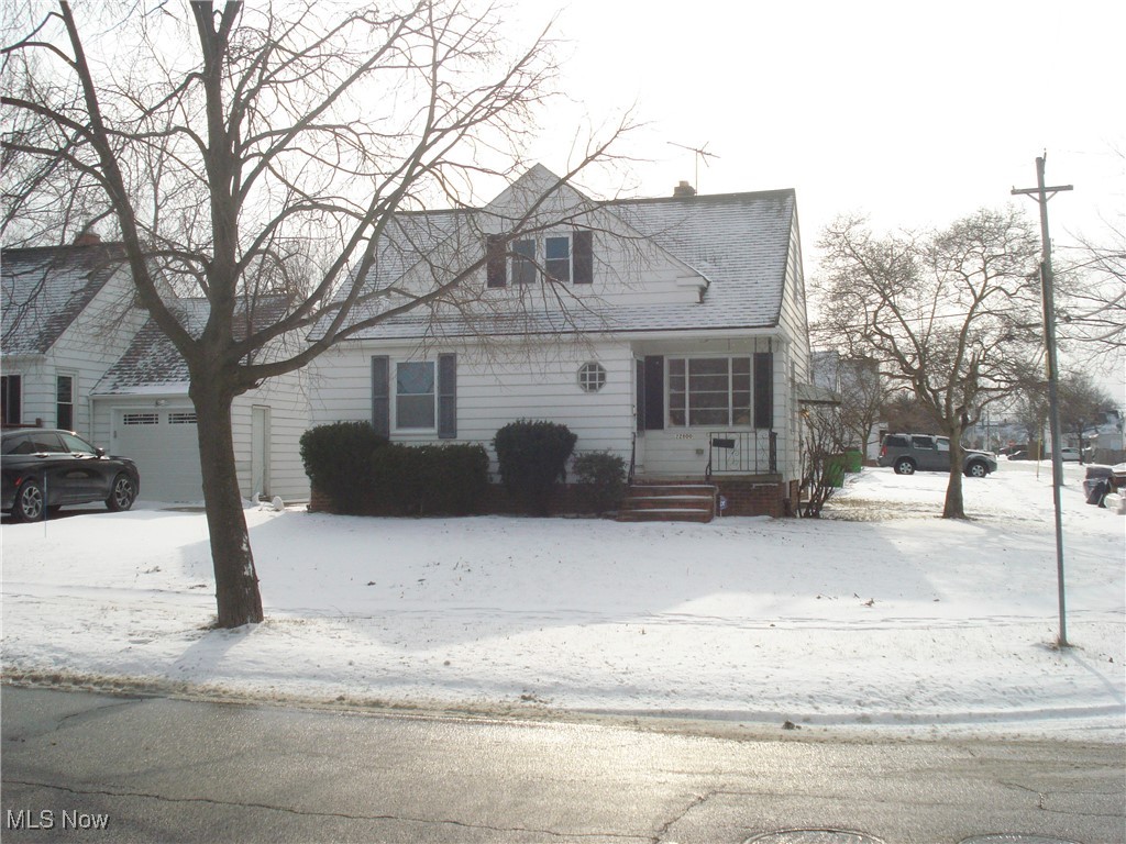 22800 Tracy Avenue, Euclid, Ohio image 30