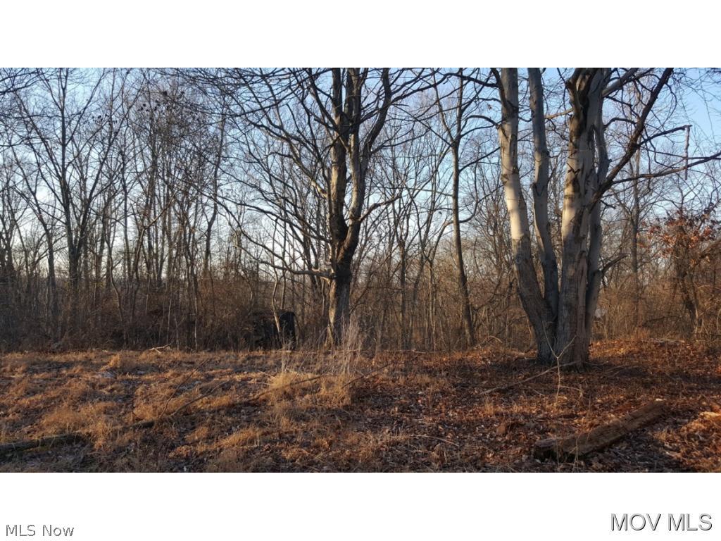 Excellent property for a new build, recreation and relaxing. Mostly wooded.M817 TB Elem: Little Hocking Elementary Scho Elem/Bus: N JrHigh: Warren Middle JrHigh/Bus: N High: Warren High School High/Bus: N Fire: VOL Police: SHF PossFreeGas: N