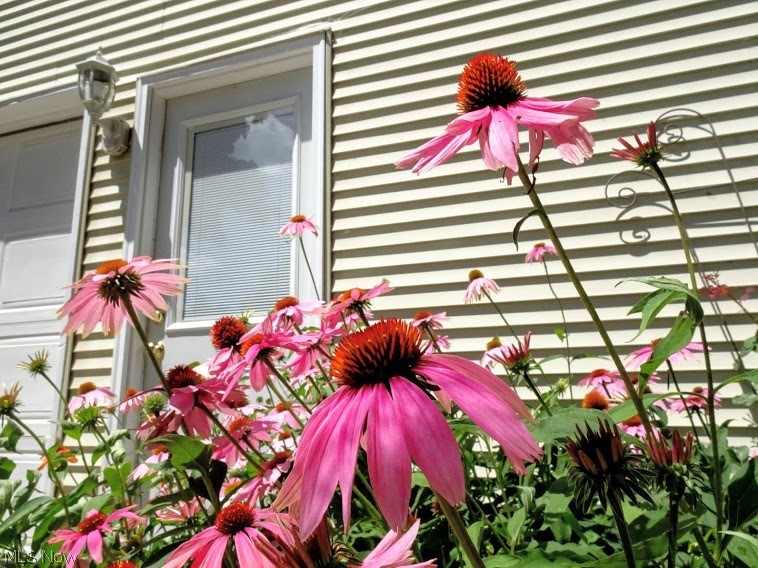 Colonial Hills 10 - Residential