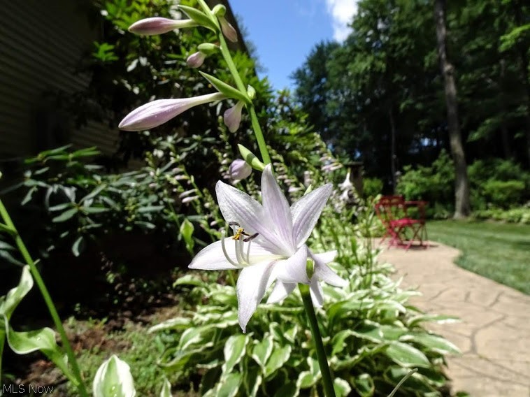 Colonial Hills 10 - Residential