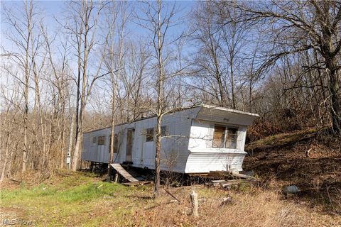 Vacant Land For Sale - 505 Back Run Road<br/> Philo, OH 43771