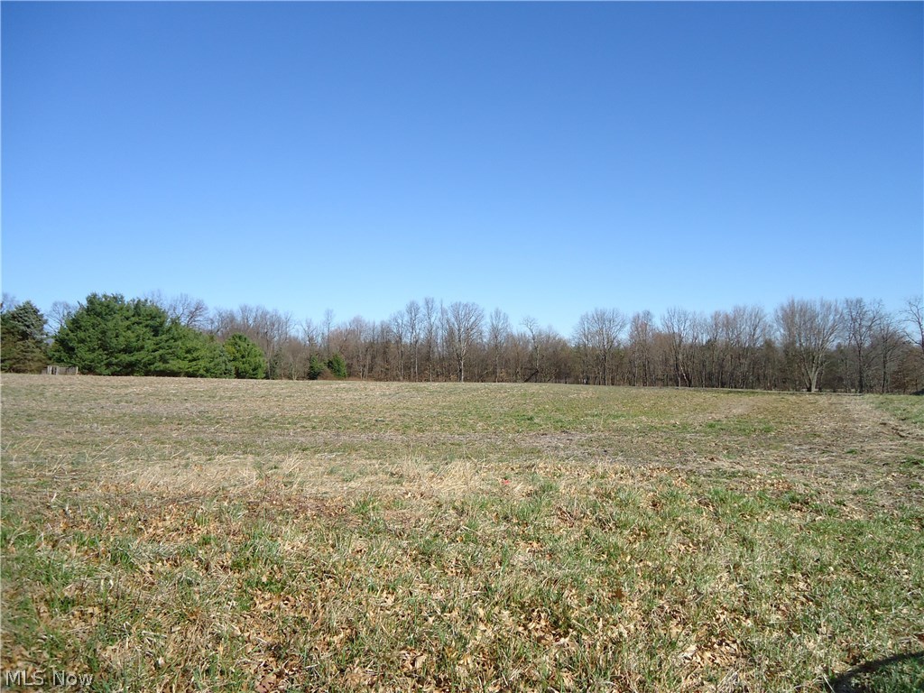 Terrific lot that consists of two parcels. The main parcel is on Barrs St SW and is 5.39 acres. The other parcel backs up to this and shows as Pigeon Run however the only access is through the Barrs St lot. The back parcel is wooded and has been used for hunting and consists of 4.24 acres. Convenient to everything but in a nice country setting. Don't miss your opportunity to own these wonderful parcels.
