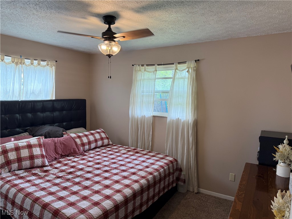 155 Elmwood Heights Rd Rd, Williamstown, West Virginia image 7