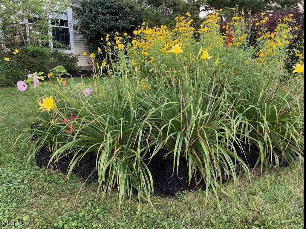 Small Lot 5 - Residential