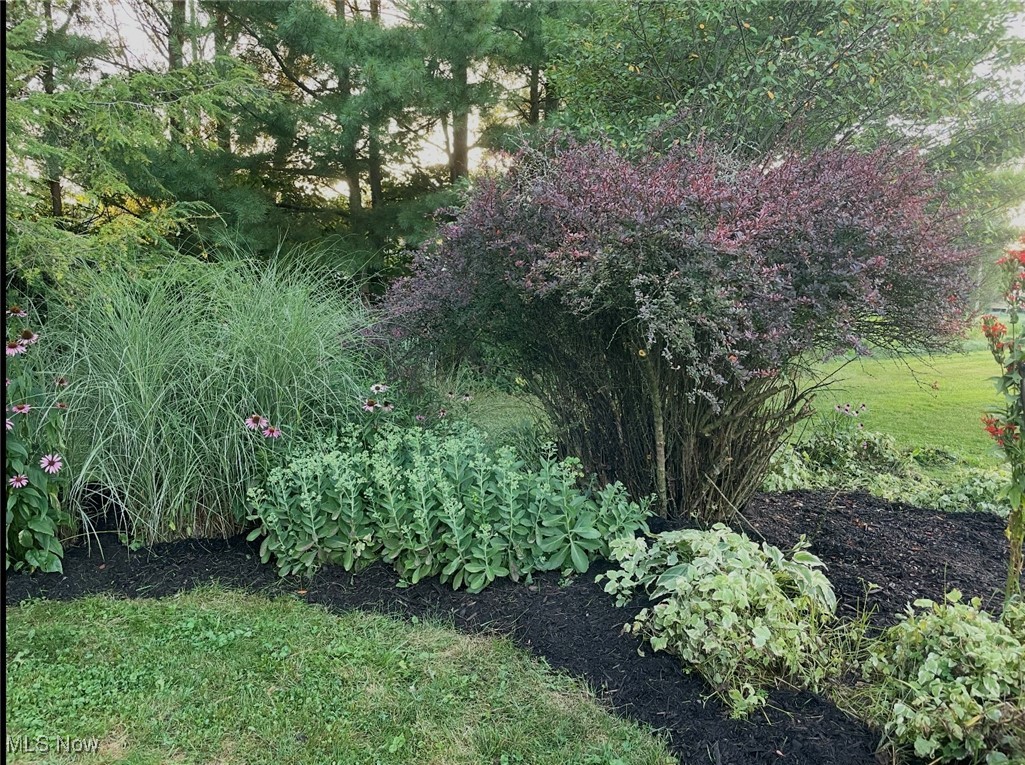 Small Lot 5 - Residential