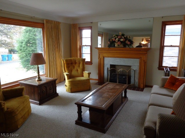 Stratford Park Allotment - Residential