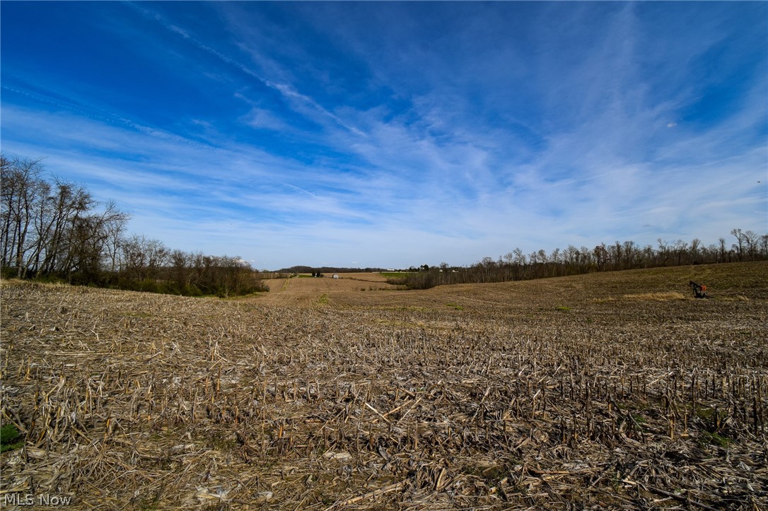 5615 Township Road 336, Millersburg, Ohio image 9