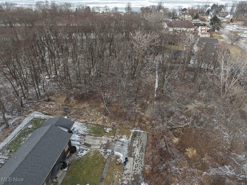 Lakeview Avenue, Sheffield Lake, Ohio image 6
