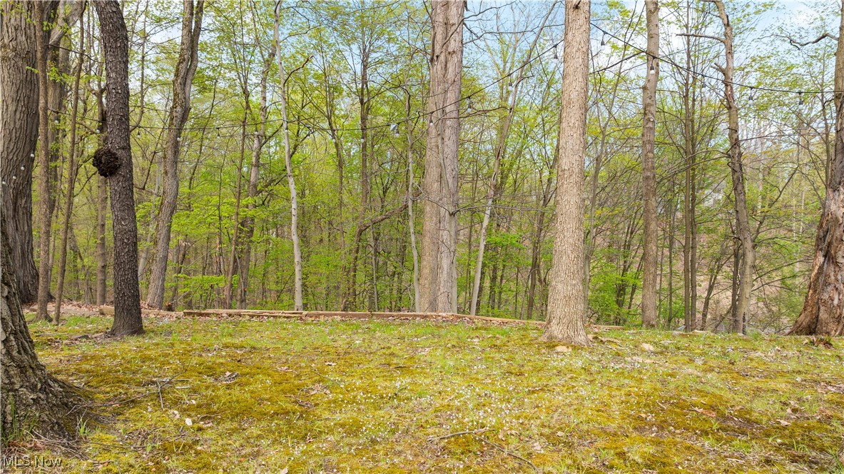 17653 Falling Leaves Road, Strongsville, Ohio image 45