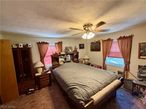Tiny photo for 4626 Rita Street, Austintown, OH 44515 (MLS # 5240105)