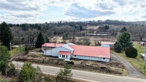 Tiny photo for 12870 Lincoln Street SE, Paris, OH 44669 (MLS # 5203078)