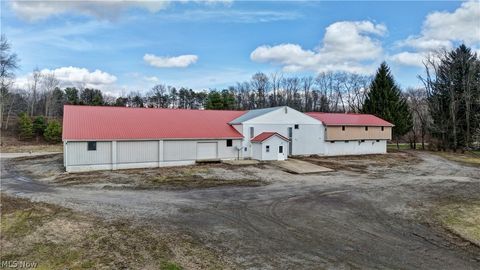 Tiny photo for 12870 Lincoln Street SE, Paris, OH 44669 (MLS # 5203078)