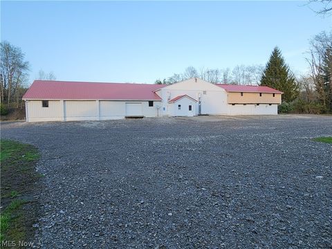 Tiny photo for 12870 Lincoln Street SE, Paris, OH 44669 (MLS # 5203078)