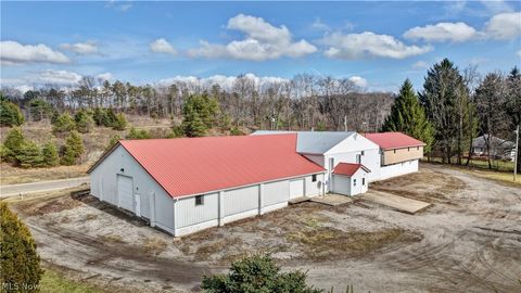 Tiny photo for 12870 Lincoln Street SE, Paris, OH 44669 (MLS # 5203078)