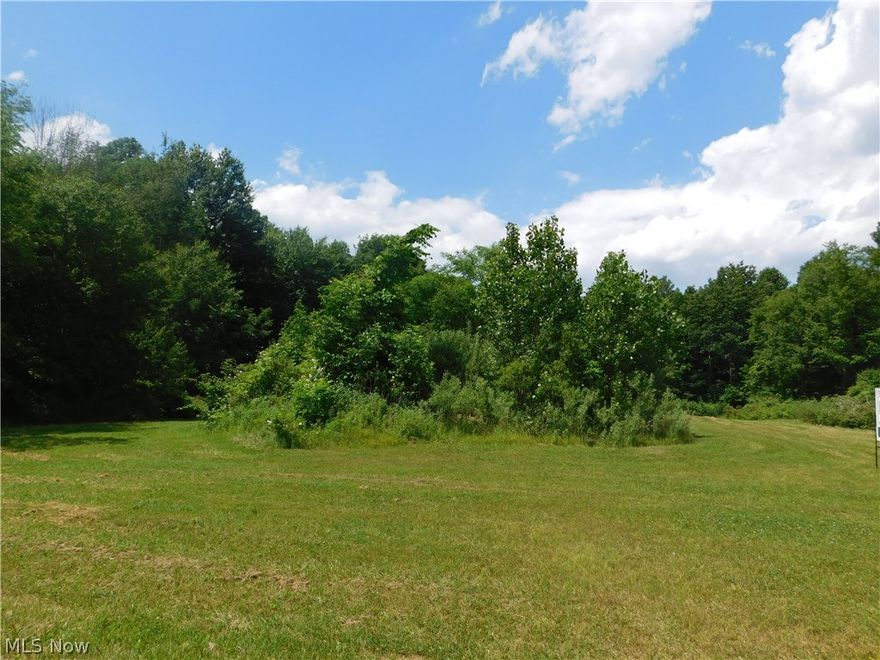 A beautiful piece of property in Mogadore. Almost 4 Acres. Front 1/4 cut and remaining is wooded. Long driveway up the side of the property front to back. Very private setting! Mineral Rights do not transfer with the property. Close to Paradise Lake Country Club and Rt 43.
