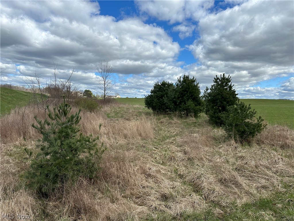 Stair Road, West Salem, Ohio image 3