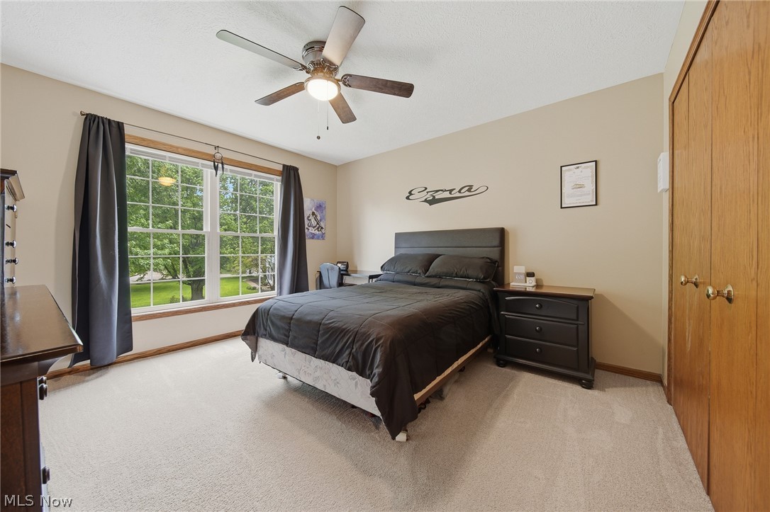 Beacon Hill - Residential