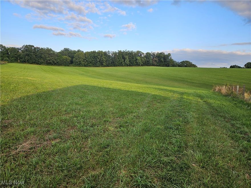 This a beautiful piece of property.  There are 31.971 acres with a Barn.  Fields are nice for hay or crops.   There is a pond for watering your livestock or just fishing.  Some fenced area and some woods.