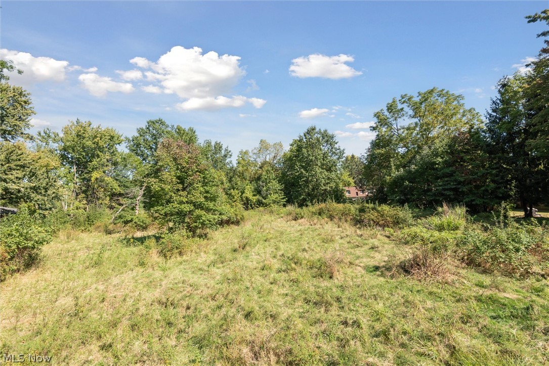 Olmsted 06 - Residential