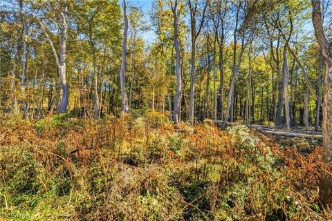 Tiny photo for 607 Sumatra Avenue, Akron, OH 44305 (MLS # 5255511)