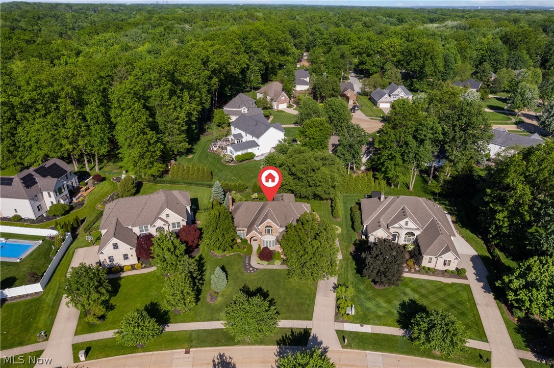 26982 Courtland Meadows