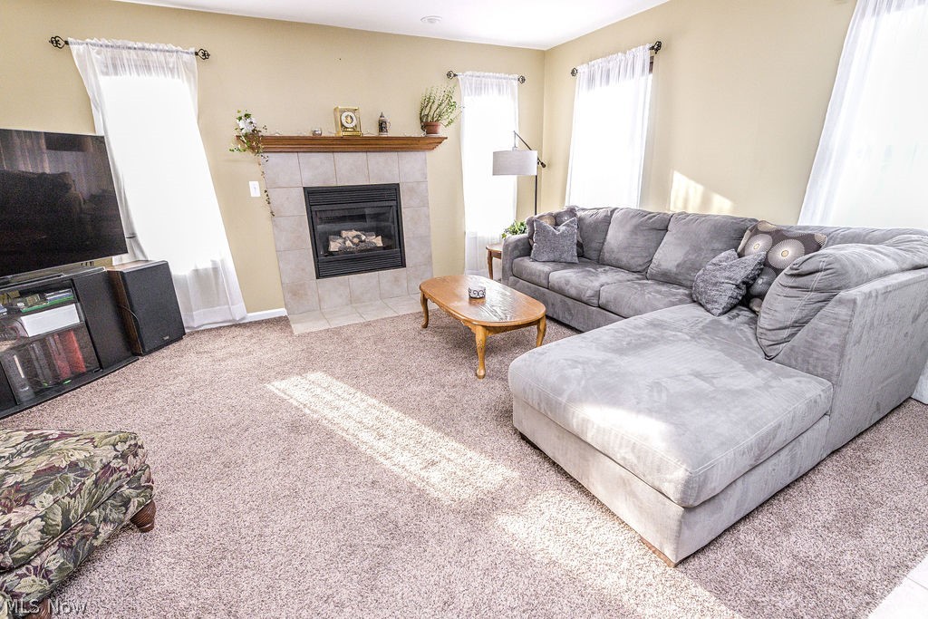 Briarwood - Residential