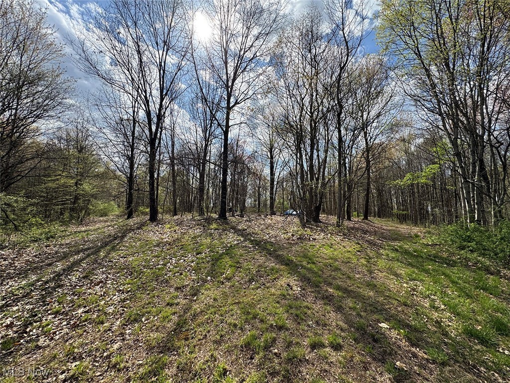 Brushy Hill Road, Jerusalem, Ohio image 10