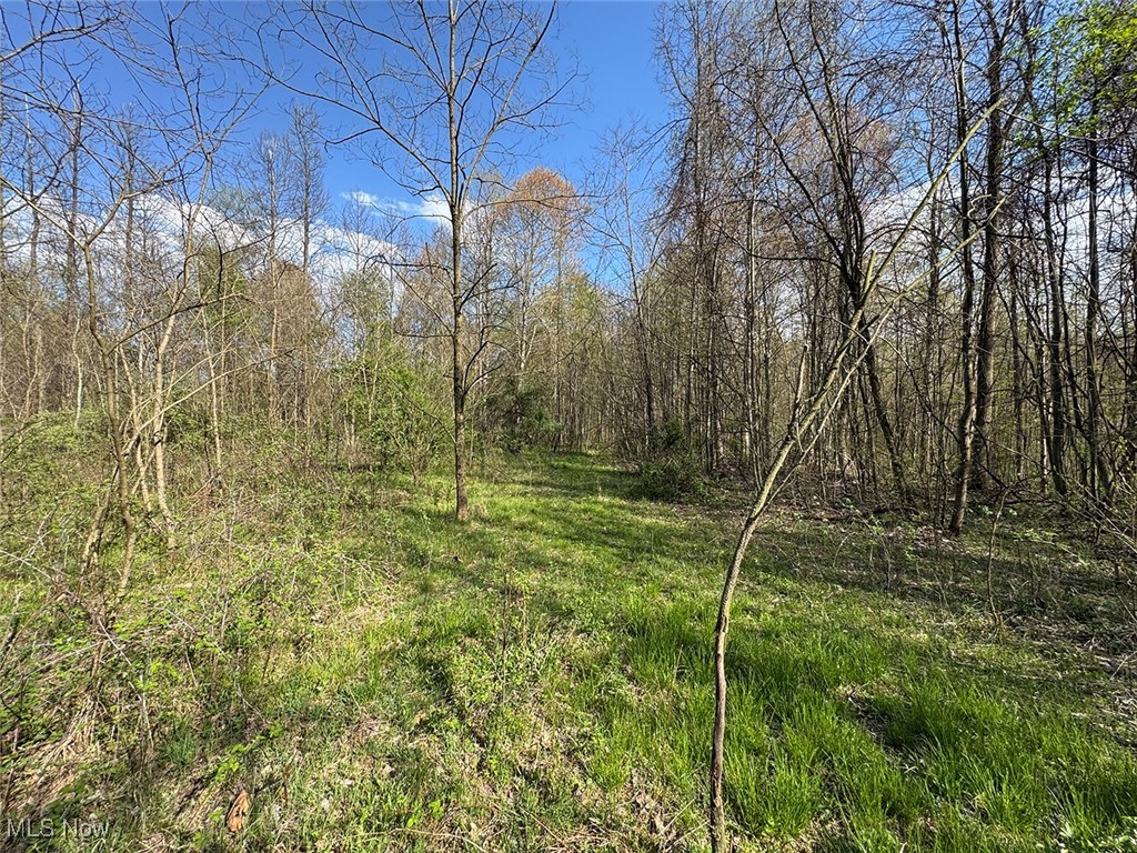 Brushy Hill Road, Jerusalem, Ohio image 24