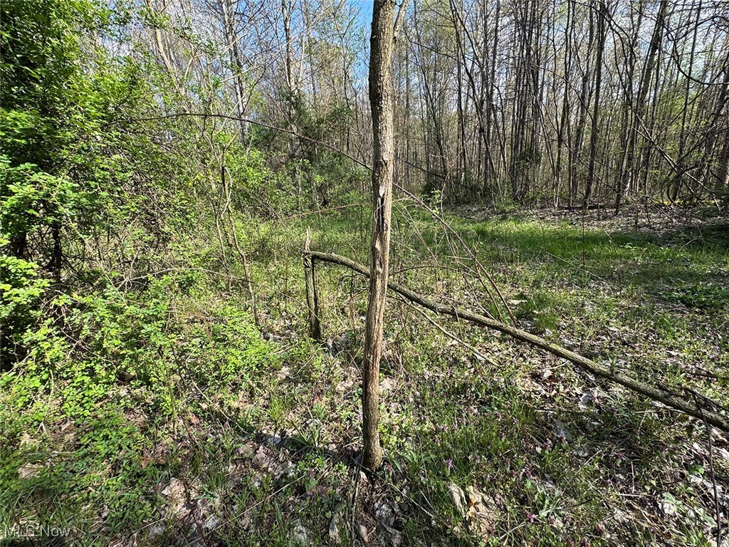 Brushy Hill Road, Jerusalem, Ohio image 25
