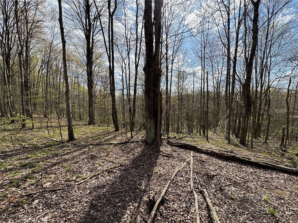 Brushy Hill Road, Jerusalem, Ohio image 12