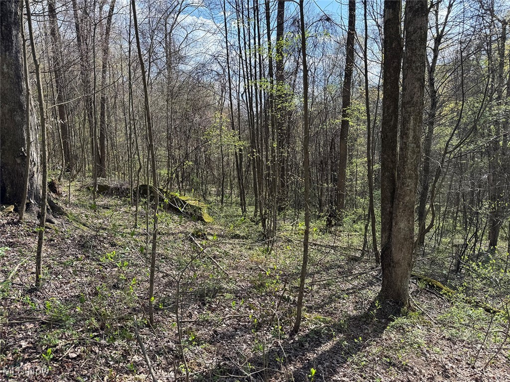 Brushy Hill Road, Jerusalem, Ohio image 20