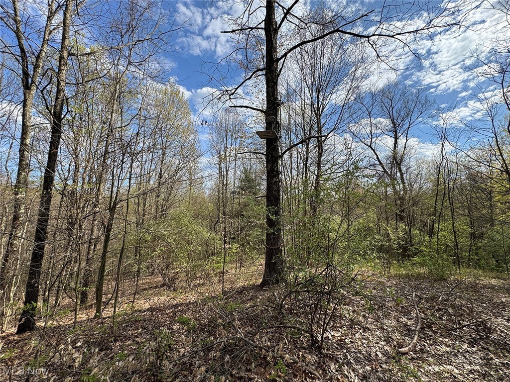 Brushy Hill Road, Jerusalem, Ohio image 18