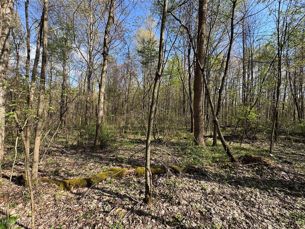 Brushy Hill Road, Jerusalem, Ohio image 26