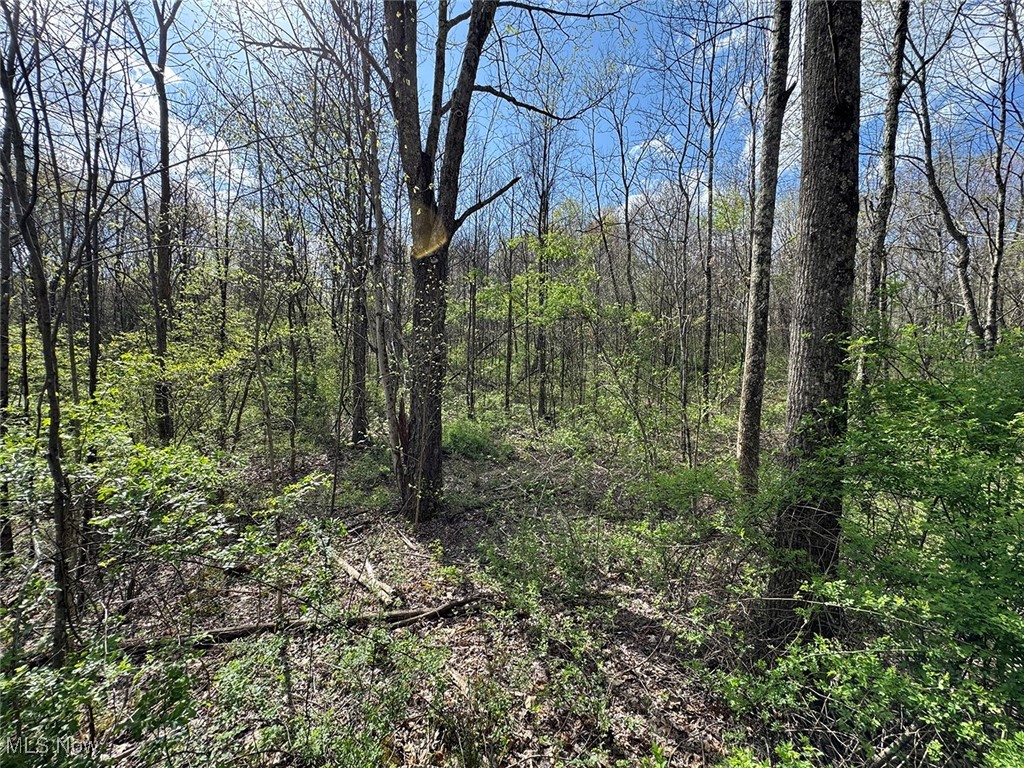 Brushy Hill Road, Jerusalem, Ohio image 14