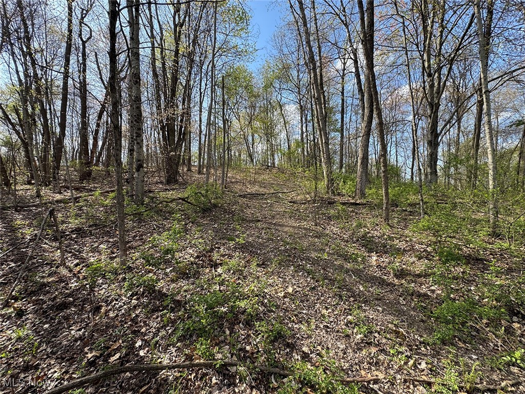 Brushy Hill Road, Jerusalem, Ohio image 15
