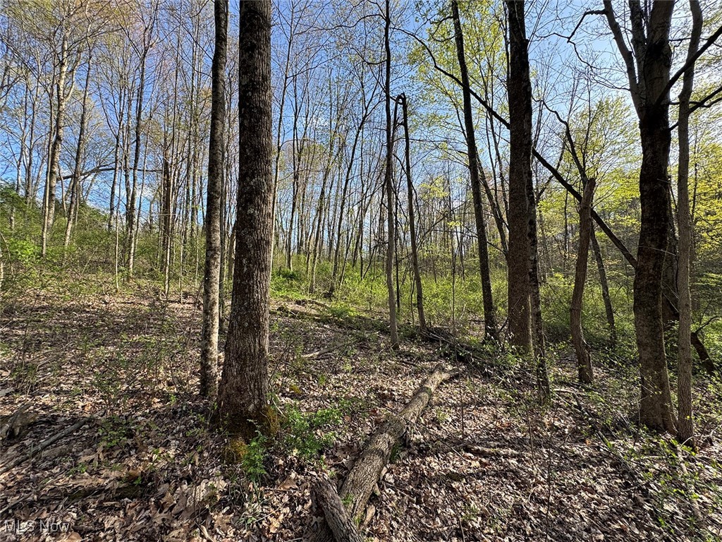 Brushy Hill Road, Jerusalem, Ohio image 29