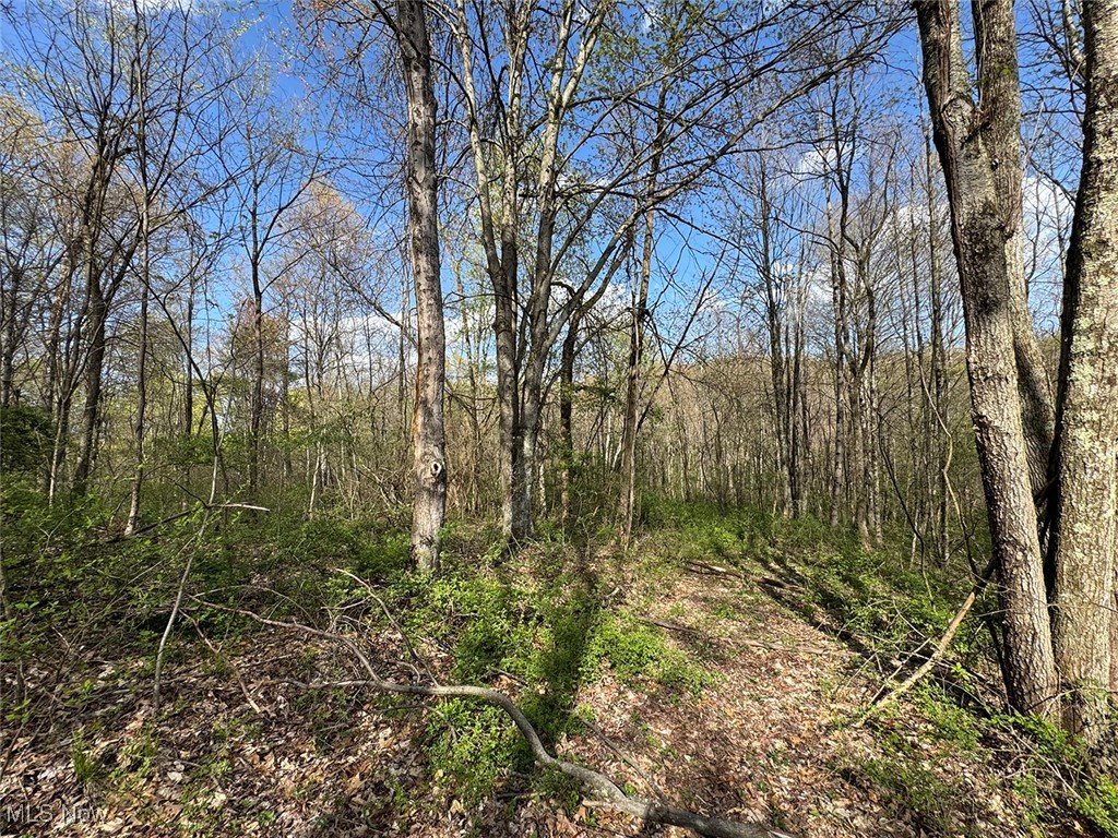 Brushy Hill Road, Jerusalem, Ohio image 16