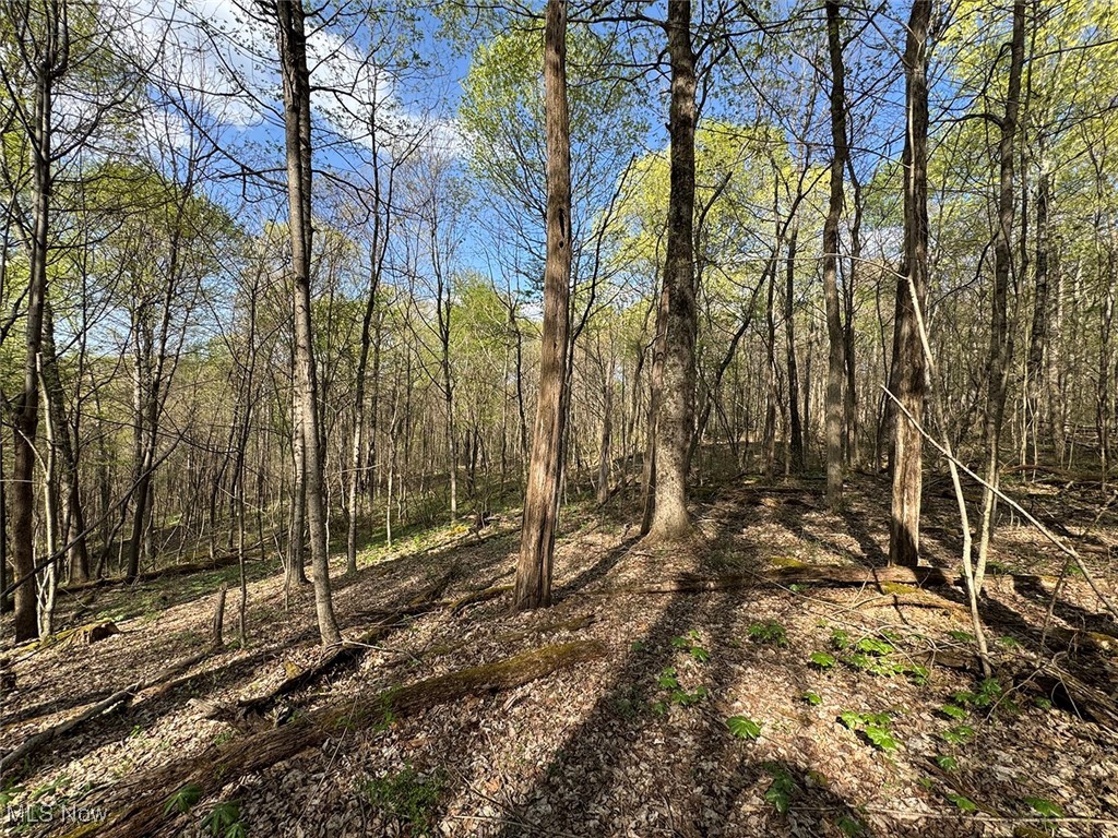 Brushy Hill Road, Jerusalem, Ohio image 28