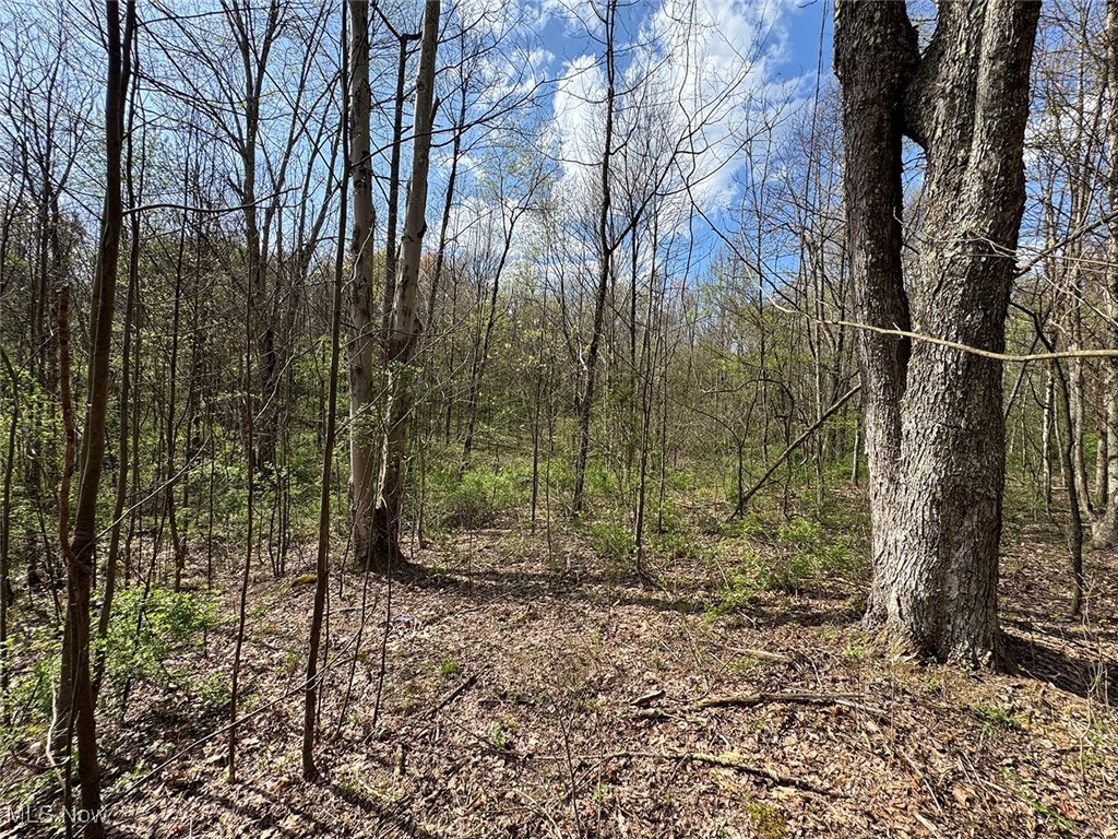 Brushy Hill Road, Jerusalem, Ohio image 13