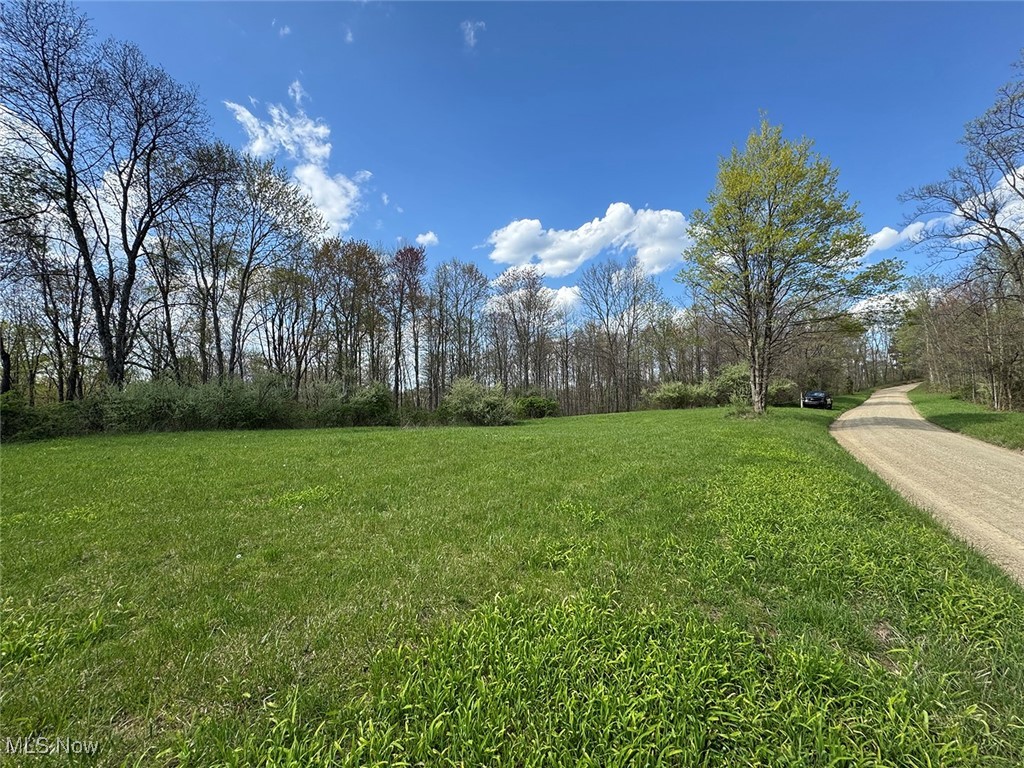 Brushy Hill Road, Jerusalem, Ohio image 4