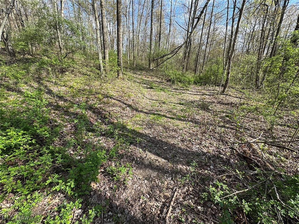 Brushy Hill Road, Jerusalem, Ohio image 19
