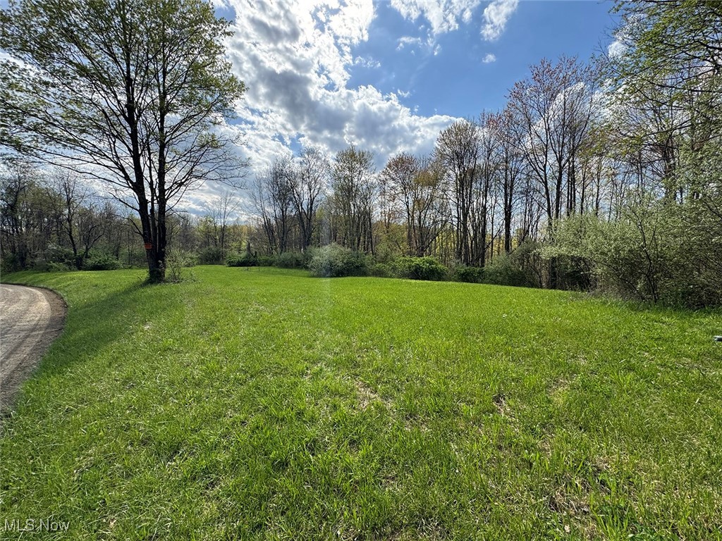 Brushy Hill Road, Jerusalem, Ohio image 1
